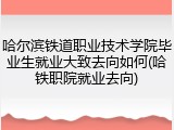 哈尔滨铁道职业技术学院毕业生就业大致去向如何(哈铁职院就业去向)