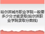 哈尔滨城市职业学院一般要多少分才能录取(哈尔滨职业学院录取分数线)