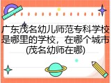 广东茂名幼儿师范专科学校是哪里的学校，在哪个城市(茂名幼师在哪)