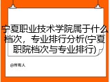 宁夏职业技术学院属于什么档次，专业排行分析(宁夏职院档次与专业排行)