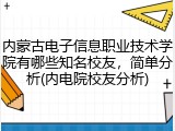 内蒙古电子信息职业技术学院有哪些知名校友，简单分析(内电院校友分析)
