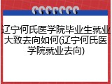 辽宁何氏医学院毕业生就业大致去向如何(辽宁何氏医学院就业去向)