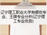 辽宁理工职业大学有哪些专业，王牌专业分析(辽宁理工专业优势)