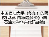 中国石油大学（华东）的院校代码和邮编是多少(中国石油大学华东代码邮编)