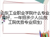 山东工业职业学院什么专业最好，一年招多少人(山东工院优势专业招生)