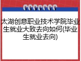 太湖创意职业技术学院毕业生就业大致去向如何(毕业生就业去向)