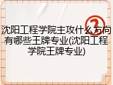 沈阳工程学院主攻什么方向有哪些王牌专业(沈阳工程学院王牌专业)