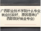广西职业技术学院什么专业就业比较好，原因是啥(广西职院好就业专业)