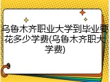 乌鲁木齐职业大学到毕业要花多少学费(乌鲁木齐职大学费)
