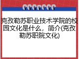 克孜勒苏职业技术学院的校园文化是什么，简介(克孜勒苏职院文化)