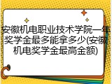 安徽机电职业技术学院一年奖学金最多能拿多少(安徽机电奖学金最高金额)
