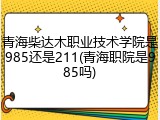 青海柴达木职业技术学院是985还是211(青海职院是985吗)