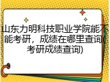 山东力明科技职业学院能不能考研，成绩在哪里查询(考研成绩查询)