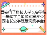 西安电子科技大学长安学院一年奖学金最多能拿多少(西电长安学院最高奖学金)