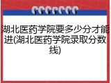 湖北医药学院要多少分才能进(湖北医药学院录取分数线)