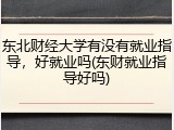 东北财经大学有没有就业指导，好就业吗(东财就业指导好吗)