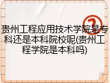 贵州工程应用技术学院是专科还是本科院校呢(贵州工程学院是本科吗)