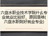 六盘水职业技术学院什么专业就业比较好，原因是啥(六盘水职院好就业专业)