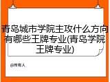 青岛城市学院主攻什么方向有哪些王牌专业(青岛学院王牌专业)
