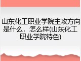 山东化工职业学院主攻方向是什么，怎么样(山东化工职业学院特色)