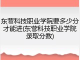 东营科技职业学院要多少分才能进(东营科技职业学院录取分数)