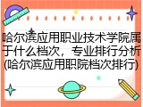 哈尔滨应用职业技术学院属于什么档次，专业排行分析(哈尔滨应用职院档次排行)
