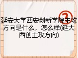 延安大学西安创新学院主攻方向是什么，怎么样(延大西创主攻方向)