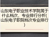 山东电子职业技术学院属于什么档次，专业排行分析(山东电子职院档次专业排行)