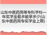 山东中医药高等专科学校一年奖学金最多能拿多少(山东中医药高专奖学金上限)