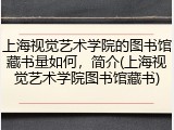 上海视觉艺术学院的图书馆藏书量如何，简介(上海视觉艺术学院图书馆藏书)