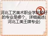 河北工艺美术职业学院最好的专业是哪个，详细阐述(河北工美王牌专业)