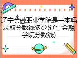 辽宁金融职业学院是一本吗录取分数线多少(辽宁金融学院分数线)