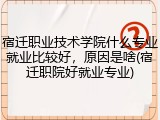 宿迁职业技术学院什么专业就业比较好，原因是啥(宿迁职院好就业专业)