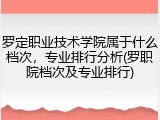 罗定职业技术学院属于什么档次，专业排行分析(罗职院档次及专业排行)