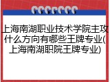 上海南湖职业技术学院主攻什么方向有哪些王牌专业(上海南湖职院王牌专业)