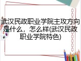 武汉民政职业学院主攻方向是什么，怎么样(武汉民政职业学院特色)