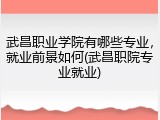 武昌职业学院有哪些专业，就业前景如何(武昌职院专业就业)