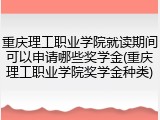 重庆理工职业学院就读期间可以申请哪些奖学金(重庆理工职业学院奖学金种类)