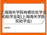 上海海关学院有哪些奖学金和助学金呢(上海海关学院奖助学金)