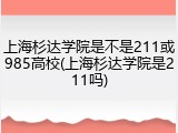 上海杉达学院是不是211或985高校(上海杉达学院是211吗)