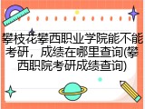 攀枝花攀西职业学院能不能考研，成绩在哪里查询(攀西职院考研成绩查询)