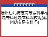 沧州幼儿师范高等专科学校是专科还是本科院校呢(沧州幼专是专科吗)