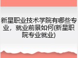新星职业技术学院有哪些专业，就业前景如何(新星职院专业就业)