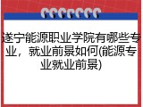 遂宁能源职业学院有哪些专业，就业前景如何(能源专业就业前景)
