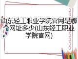 山东轻工职业学院官网是哪个网址多少(山东轻工职业学院官网)