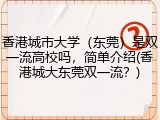 香港城市大学（东莞）是双一流高校吗，简单介绍(香港城大东莞双一流？)