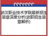 武汉职业技术学院最新招生简章深度分析(武职招生简章解析)