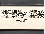 河北建材职业技术学院是双一流大学吗?(河北建材是双一流吗)