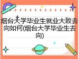 烟台大学毕业生就业大致去向如何(烟台大学毕业生去向)