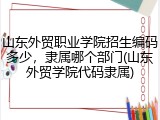 山东外贸职业学院招生编码多少，隶属哪个部门(山东外贸学院代码隶属)